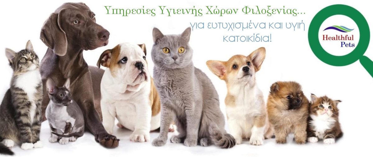 Healthful Pets